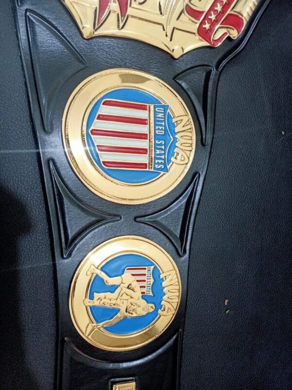 Nwa United States championship belt - Image 3