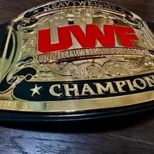 Uwf heavy weight universal wrestling champion