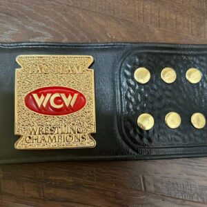 Wcw tag team world wrestling champion